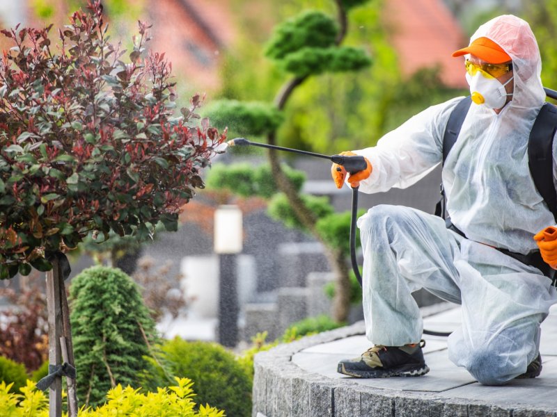 Şaphane Haşere İlaçlama