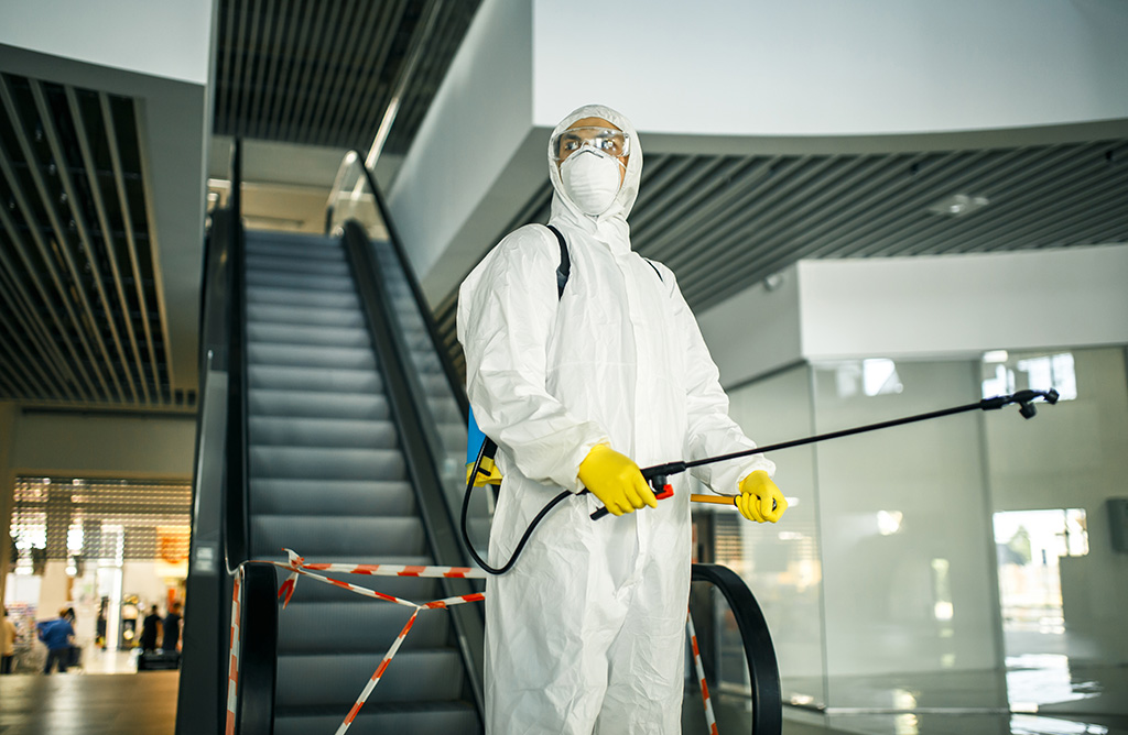 Şaphane Haşere İlaçlama